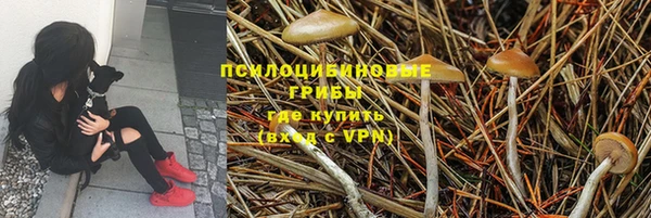 МДМА Алексеевка