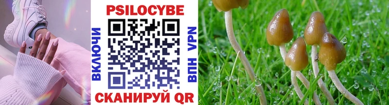 Псилоцибиновые грибы Cubensis  Евпатория 
