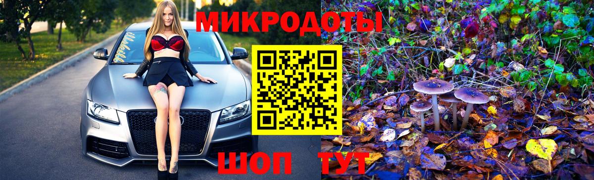 Евпатория  Галлюциногенные грибы прущие грибы  Вход с VPN 